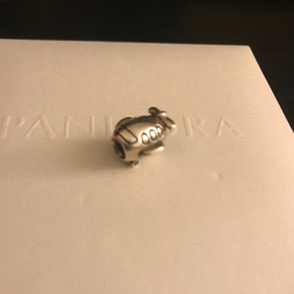 Authentic Pandora Charm